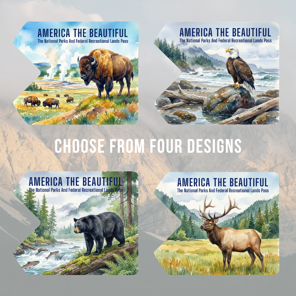 Four designs of 'America the Beautiful' passes featuring wildlife and landscapes.