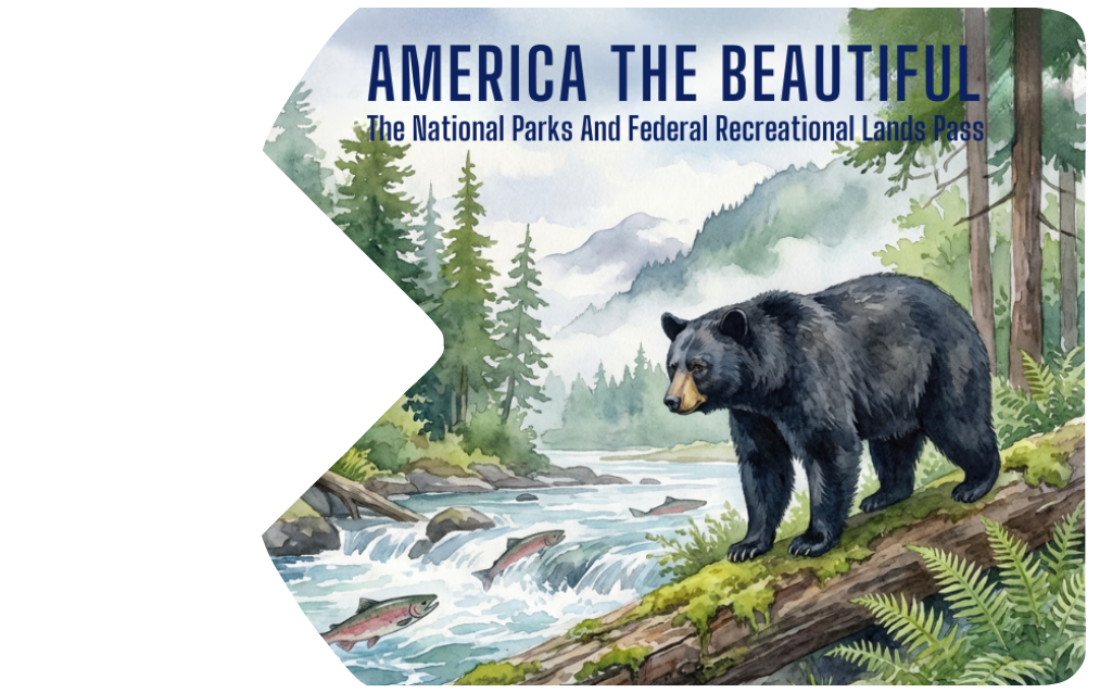 National Parks and Federal Recreational Lands Pass with bear and nature scene