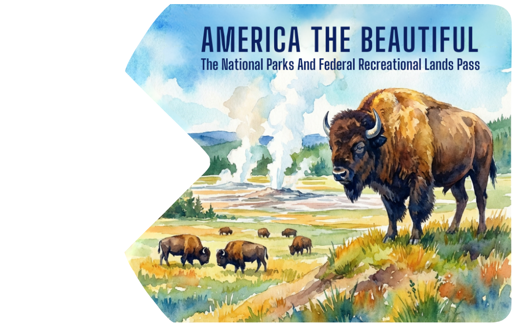 Pass for national parks with a bison illustration on a scenic background