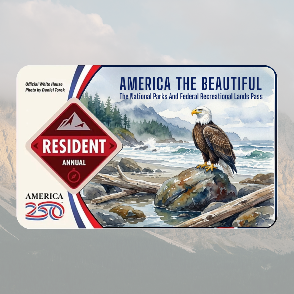 America the Beautiful National Parks pass with an eagle on a rock by water